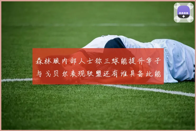森林狼内部人士称三球能提升华子与戈贝尔表现联盟还有谁具备此能力